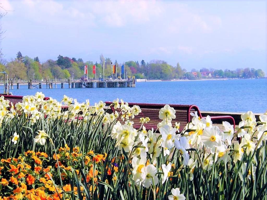 BodenSEE Apartment Kressbronn SeeLand Kressbronn am Bodensee Exterior foto